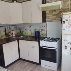 Фото Апартаменты в микрорайоне Мирный 3/2