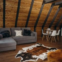 A-Frame 1
