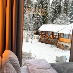 Фото Отель Телецкое Золотое