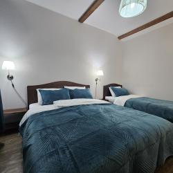 Фото Отель Шишкино-парк аэропорт Домодедово