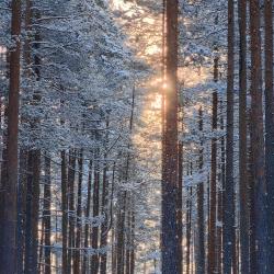 Фото Отель Аквамарин