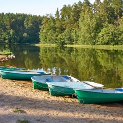 Фото Отель Davinci Park (Давинчи Парк)
