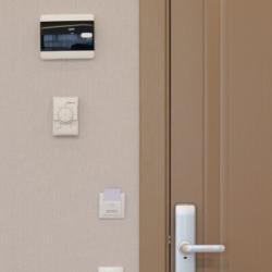 Номер делюкс с 1 двуспальной кроватью и диваном