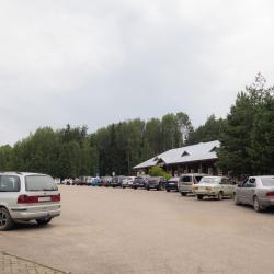 Фото Отель Мятный сад