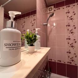 2-комнатные апартаменты стандарт