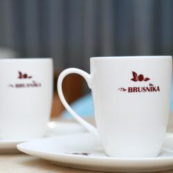 Фото Отель Брусника