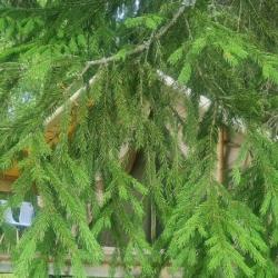 Фото Отель Заповедник