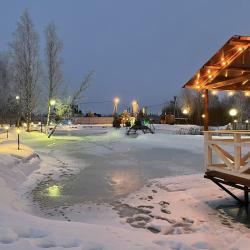 Фото Отель Моисеевичи life (Моисеевичи лайф)