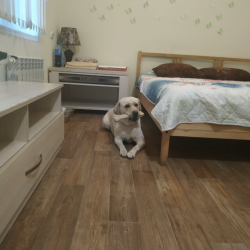 Фото Хостел Дружба