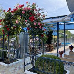 Фото Отель Эдельвейс