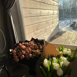 Коттедж Лофт