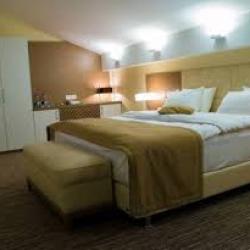 Фото Парк-отель Сова