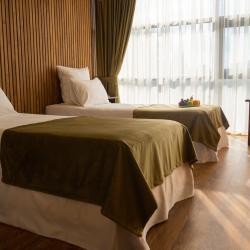 Номер стандарт комфорт с видом на бассейн #301