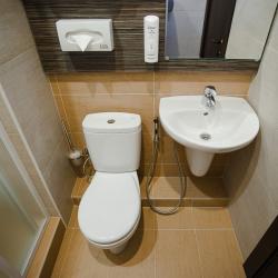 Фото Отель Родина