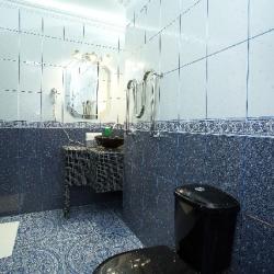 Фото Отель Серый Гусь