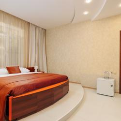 2-местный номер полулюкс с 1 двуспальной кроватью