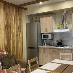 Фото Отель Шишка