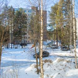 Фото Апартаменты ДаРент Карелия на улице Героев 2