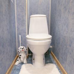 Фото Отель Пять Звёзд на Ленинградском 10