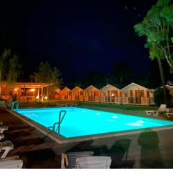 Фото Отель Цитрус 1