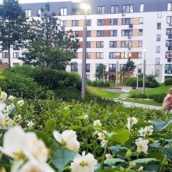 1-комнатные апартаменты люкс