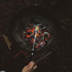 Фото Отель Глэмпинг NewCamp Эссойла (Ньюкэмп Эссойла)