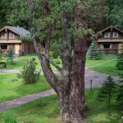 Фото Отель Верижица