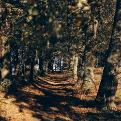 Фото Апартаменты на улице Садовая 5