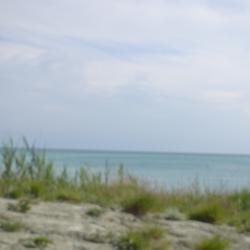 Фото Отель Аммонит