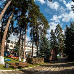 Пансионат Энергетик — 197fd7ae8cb21448ec44f0dd985daf98