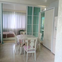 2-комнатные апартаменты студия 2.1