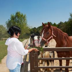 Фото Отель Golden Fish (Голден Фиш)