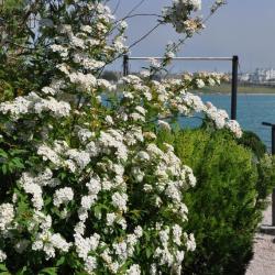 Фото Отель Мыс