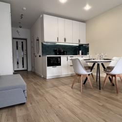 Апартаменты студия