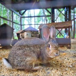 Фото Отель Fish Point Family Resort (Фиш Поинт)