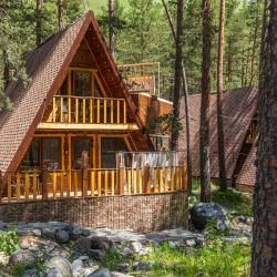 Коттедж премиум