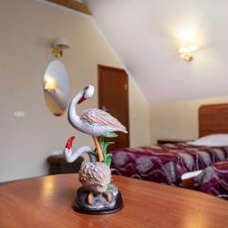 Фото Отель Фламинго