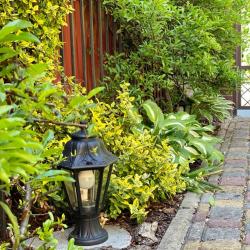 Фото Отель Salve (Сальвэ)