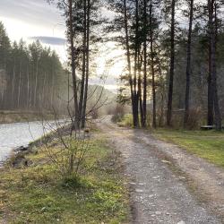 Фото Отель Деревня Берендеевка