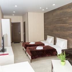 Номер комфорт улучшенный с 2 односпальными кроватями