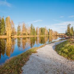 Фото Отель Озерки