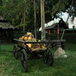 Фото Отель Saraishyq (Сарайшик)