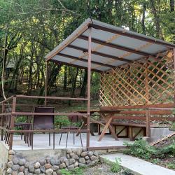 Фото Отель Примула