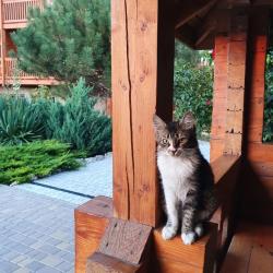 Фото Отель КаплЯнтаря