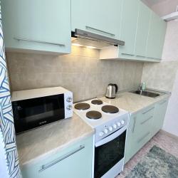 Фото Отель Rental Family Rooms (Рентал Фэмили) на Московском проспекте 215