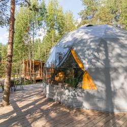 Купол «Карельский лес»