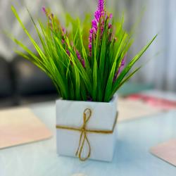 1-комнатные апартаменты люкс с 1 двуспальной кроватью