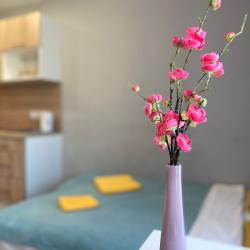 Апартаменты студия