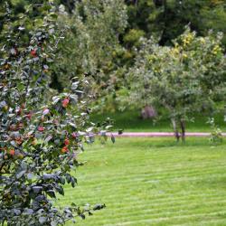 Фото Отель Ла вита