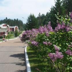 Фото Отель Электра